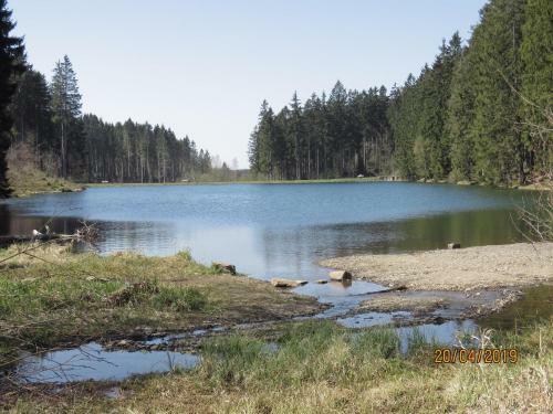 Apartamento Fewo Am Wald 5