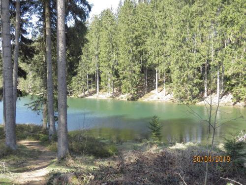 Apartamento Fewo Am Wald 5