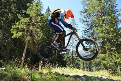 Panorama - "h�tte" Im Harz