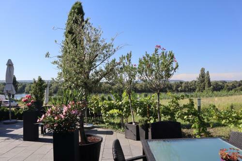 Hotel G�stehaus Rheinblick