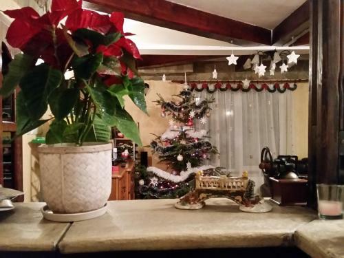 Hostal Casa Vlahopol
