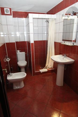 Hostal Pensiunea Vranis