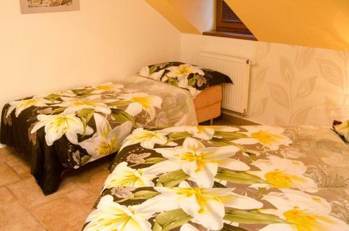 Hostal Penzion No. 1