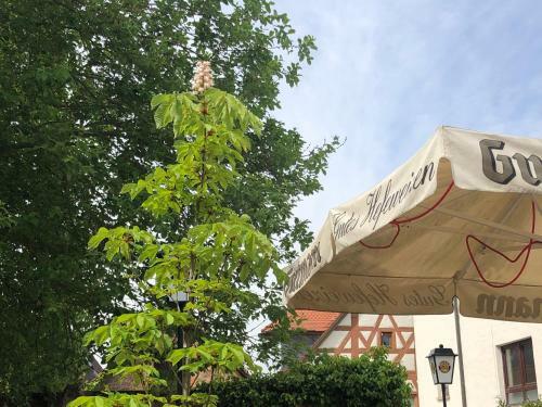Bed & Breakfast Hotel Zum Kastanienbaum