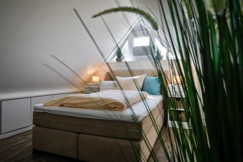 Apartamento Maison Sur Mer Ehemals Jodat