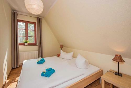 Ferienhaus _feldlerche_