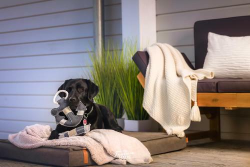 Apartamento Idefix Am Meer