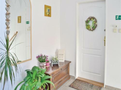 Apartment Zizkova Brana