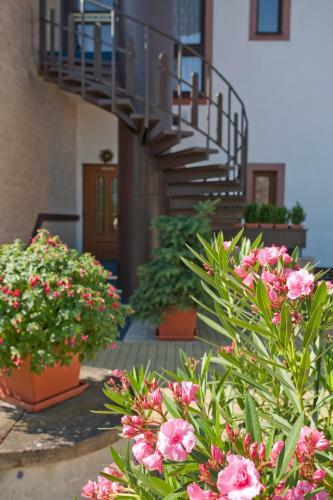 Hostal Pension Minor