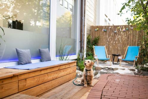 Sova Guesthouse
