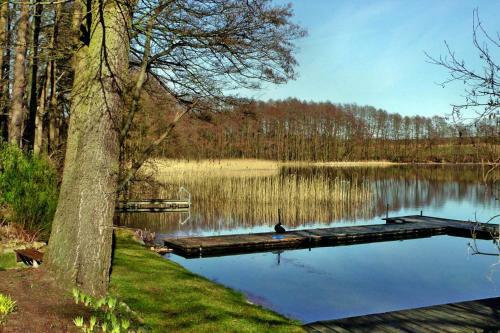 Bungalow Freiheit Am Gro� Labenzer See Klein Labenz - Dms01100d-b