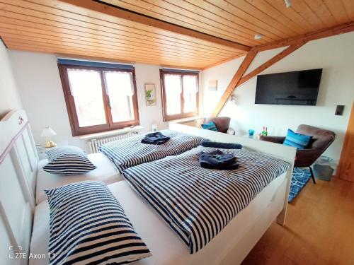 Bodensee Privatzimmer "haus Am Weinberg Konstanz"