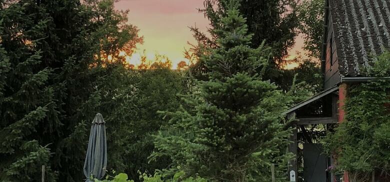 Bed & Breakfast Romantikm�hle Heartlandranch