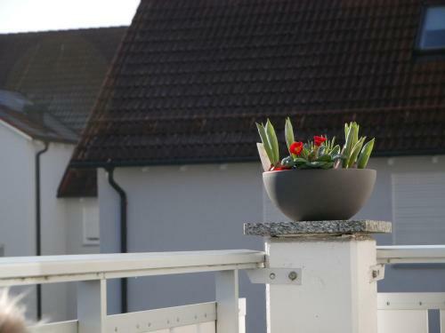 Apartamento Ferienwohnung Mona