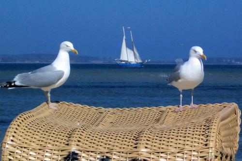 Apartamento Strandhotel 15