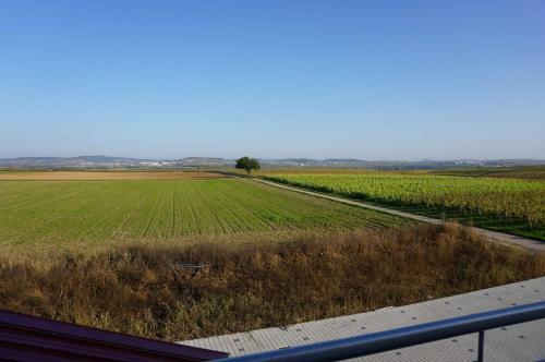 Apartamento Weingut Schaaf