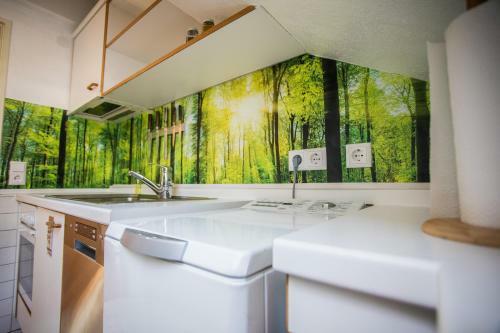 Apartamentos Auszeit Im Schwarzwald