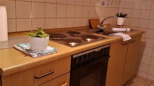 Apartamento Ferienhaus Mariele