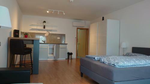Maxim Apartments Mainz