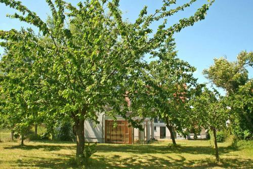 Apartamento Ferienwohnungen Mirow See 10360