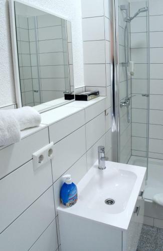 Apartamento Bussiness-studios Wein16