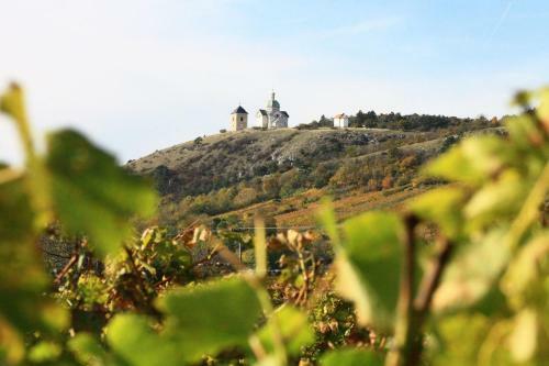 Hostal Penzion Font�na