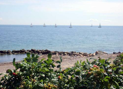 Apartamento Ferienwohnung Meeresrauschen - Strandnah