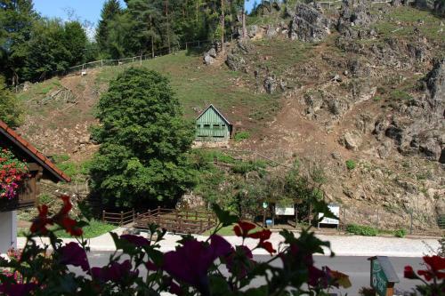Hostal Caf� Pension Leistner
