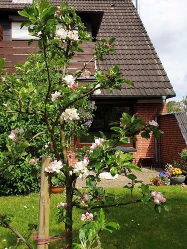 Haus Schr�ggeest 4a