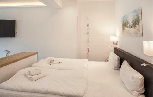 Apartamentos Panorama Studio