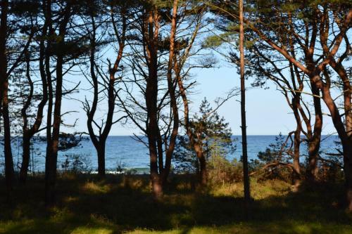 Apartamento Arkona-meeresblick Am Prorer Wiek