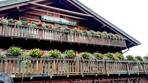 Hostal Penzion Haltmar