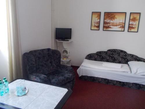 Hotel U Hroznu