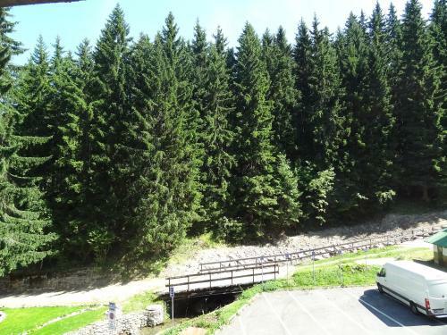 Apartm�ny Pod Javorem