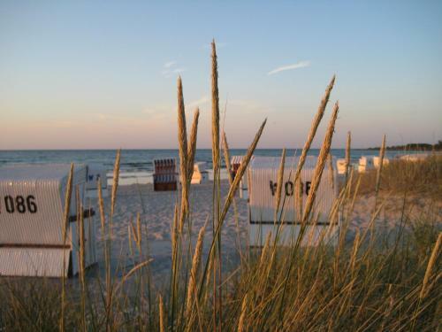 Apartamento Strandhafer
