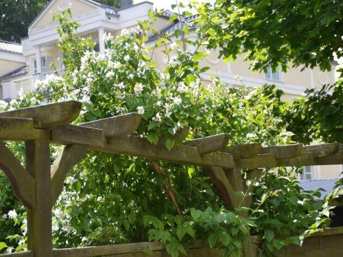 Apartamento Fewo Schwalbennest