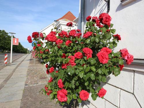 Parkhotel Putbus Superior R�gen Ostsee
