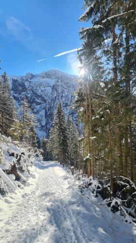 Hostal Pension Gasthof Wimbachklamm