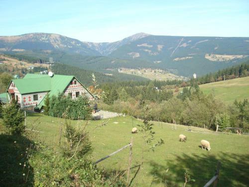 Hostal Horska Chata Dimrovka