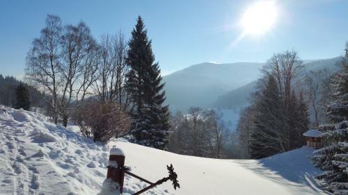 Hostal Penzion Lucie