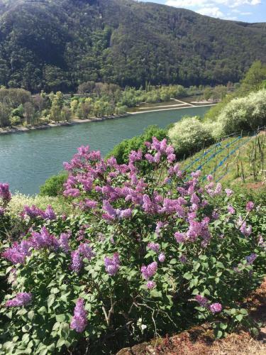 Hotel Berg�s Backpacker