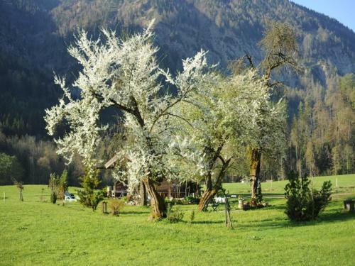 Agroturismo Hansenbauernhof