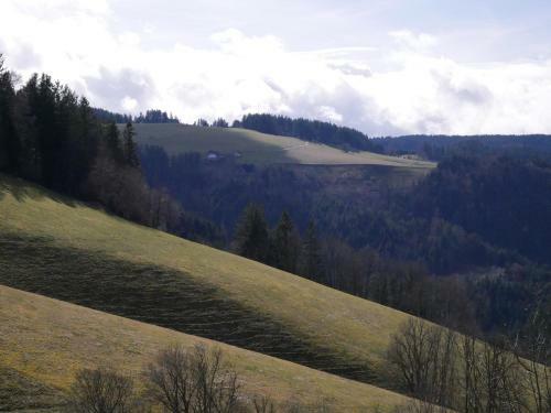 Hotel Thurner Wirtshaus
