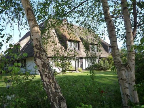 Apartamento Haus Hallig Hooge Whg. 8