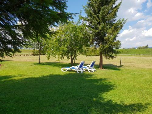 Apartamento Ferienhaus Hau�mann