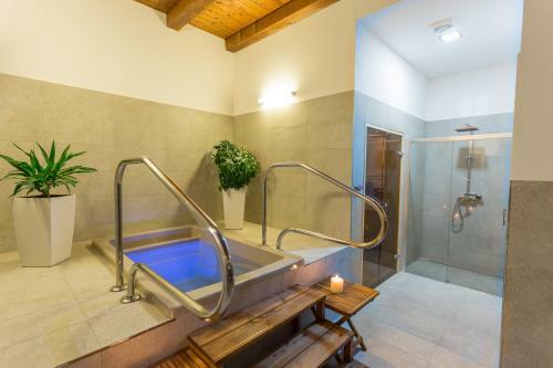 Hostal Penzion Jelen Vranov Nad Dyj�