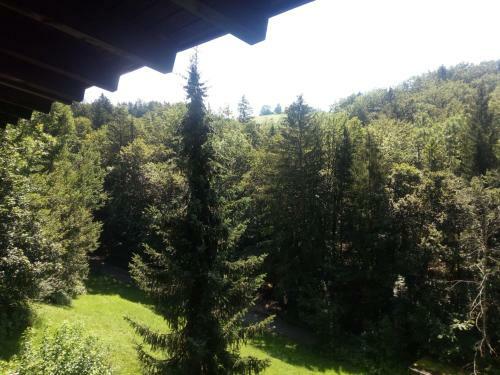 Apartamento Ferienwohnung K�nig