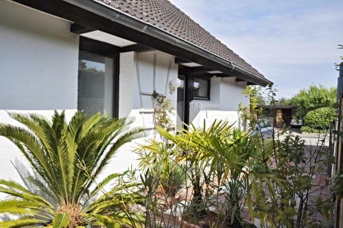 Apartamento Aloha