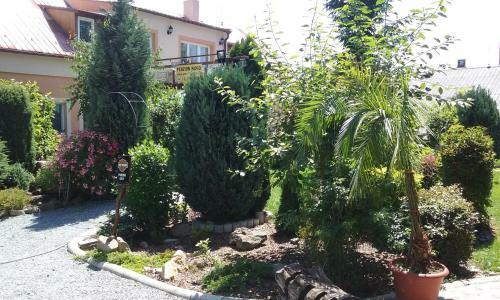 Hostal Penzion Hugo