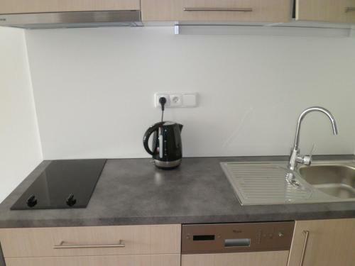 Apartamento P�lavsk� Vinohrady